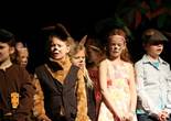 IMG_4328 (1280x853).jpg (79195 bytes)